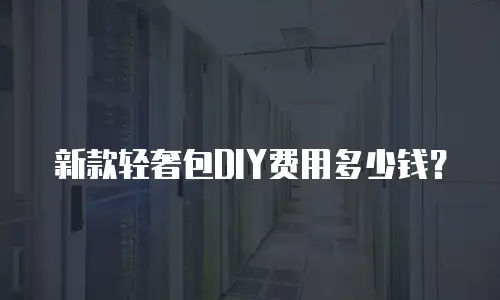 新款轻奢包DIY费用多少钱？