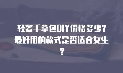 轻奢手拿包DIY价格多少？最好用的款式是否适合女生？