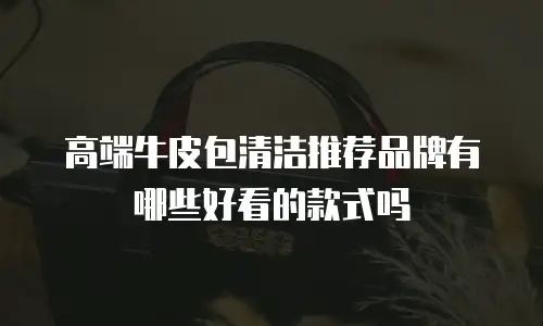 高端牛皮包清洁推荐品牌有哪些好看的款式吗