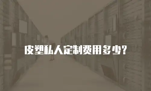 皮塑私人定制费用多少？