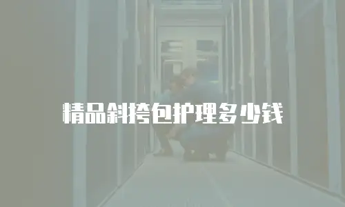 精品斜挎包护理多少钱