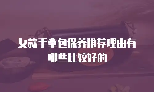 女款手拿包保养推荐理由有哪些比较好的