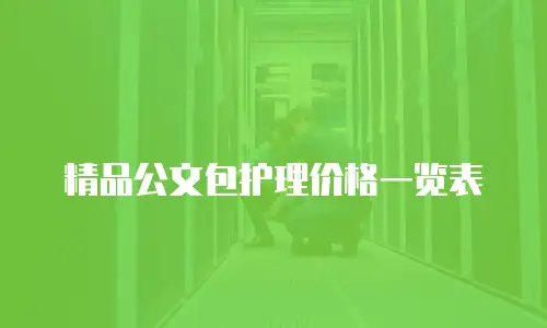 精品公文包护理价格一览表