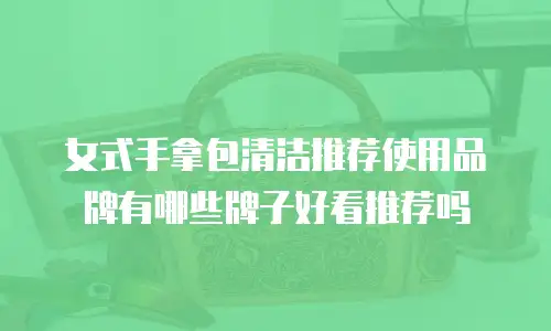 女式手拿包清洁推荐使用品牌有哪些牌子好看推荐吗
