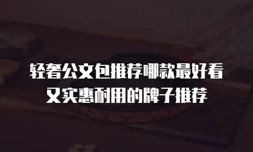 轻奢公文包推荐哪款最好看又实惠耐用的牌子推荐