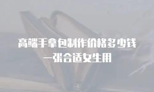 高端手拿包制作价格多少钱一张合适女生用