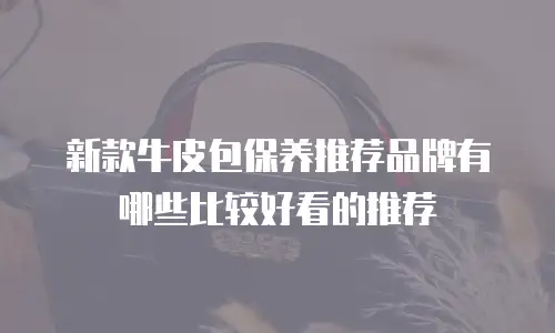 新款牛皮包保养推荐品牌有哪些比较好看的推荐