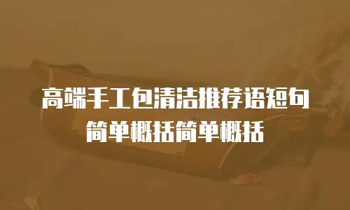 高端手工包清洁推荐语短句简单概括简单概括