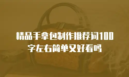 精品手拿包制作推荐词100字左右简单又好看吗
