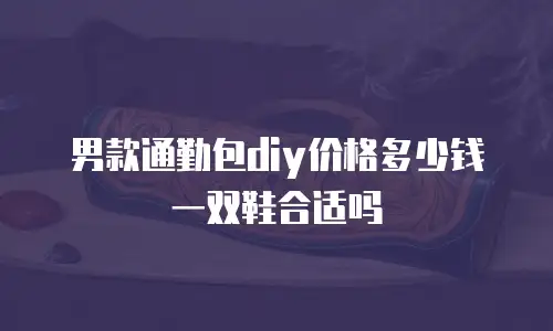男款通勤包diy价格多少钱一双鞋合适吗