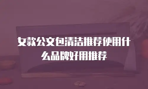 女款公文包清洁推荐使用什么品牌好用推荐