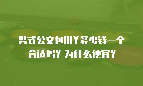 男式公文包DIY多少钱一个合适吗？为什么便宜？