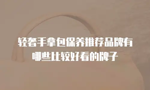 轻奢手拿包保养推荐品牌有哪些比较好看的牌子
