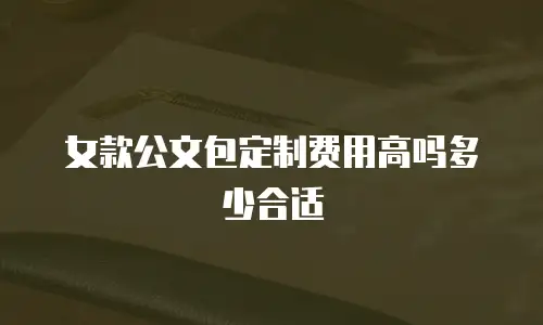 女款公文包定制费用高吗多少合适
