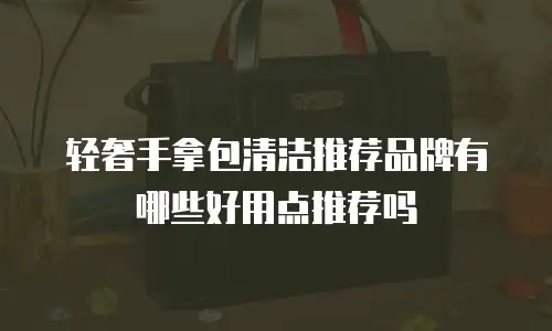 轻奢手拿包清洁推荐品牌有哪些好用点推荐吗
