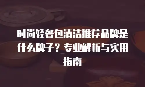 时尚轻奢包清洁推荐品牌是什么牌子？专业解析与实用指南