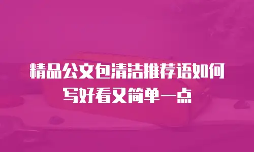 精品公文包清洁推荐语如何写好看又简单一点