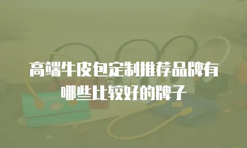 高端牛皮包定制推荐品牌有哪些比较好的牌子