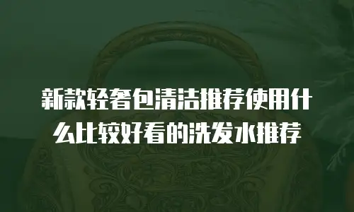 新款轻奢包清洁推荐使用什么比较好看的洗发水推荐