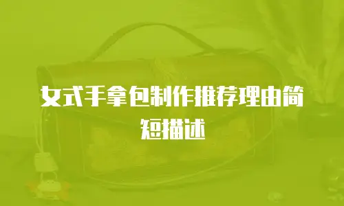 女式手拿包制作推荐理由简短描述