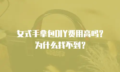 女式手拿包DIY费用高吗？为什么找不到？