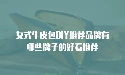 女式牛皮包DIY推荐品牌有哪些牌子的好看推荐