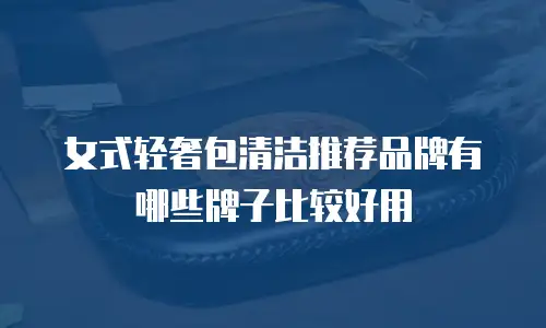 女式轻奢包清洁推荐品牌有哪些牌子比较好用