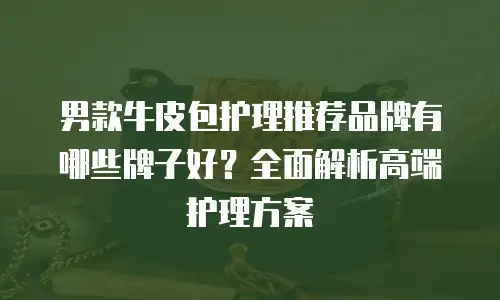 男款牛皮包护理推荐品牌有哪些牌子好？全面解析高端护理方案