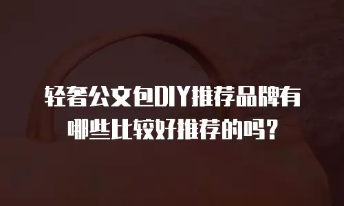 轻奢公文包DIY推荐品牌有哪些比较好推荐的吗？