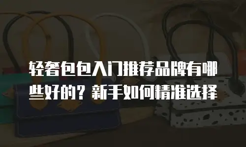 轻奢包包入门推荐品牌有哪些好的？新手如何精准选择