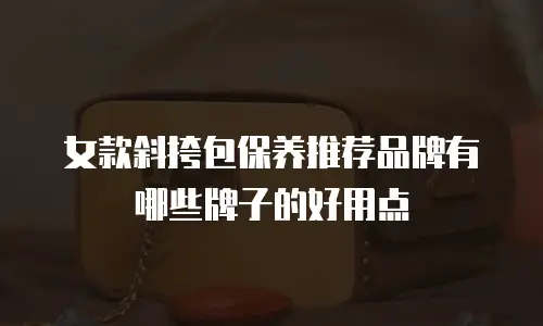 女款斜挎包保养推荐品牌有哪些牌子的好用点