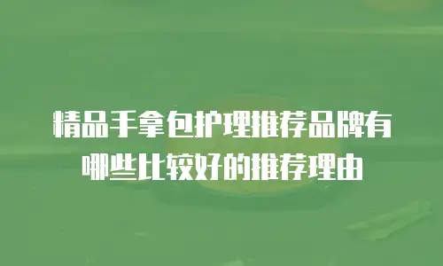 精品手拿包护理推荐品牌有哪些比较好的推荐理由