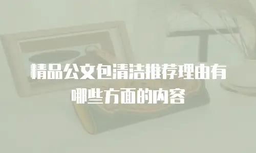 精品公文包清洁推荐理由有哪些方面的内容