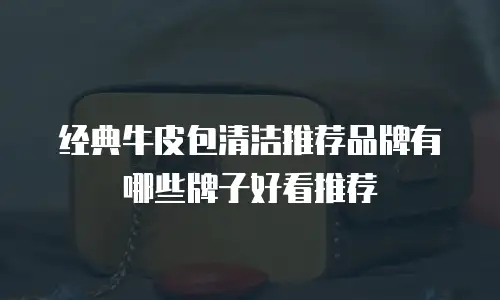 经典牛皮包清洁推荐品牌有哪些牌子好看推荐