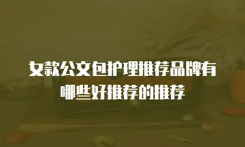 女款公文包护理推荐品牌有哪些好推荐的推荐