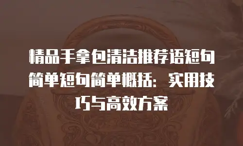 精品手拿包清洁推荐语短句简单短句简单概括：实用技巧与高效方案