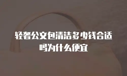 轻奢公文包清洁多少钱合适吗为什么便宜