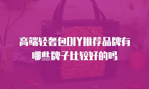 高端轻奢包DIY推荐品牌有哪些牌子比较好的吗