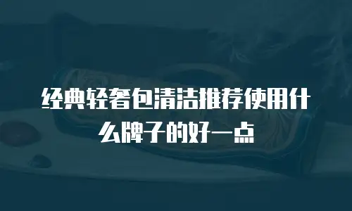 经典轻奢包清洁推荐使用什么牌子的好一点