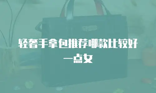 轻奢手拿包推荐哪款比较好一点女