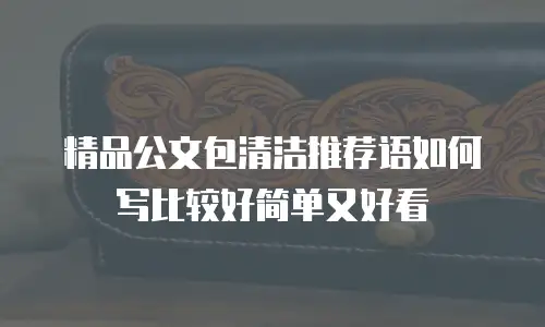 精品公文包清洁推荐语如何写比较好简单又好看