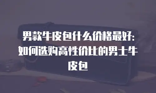 男款牛皮包什么价格最好：如何选购高性价比的男士牛皮包