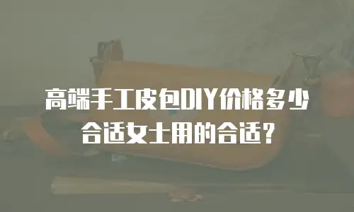 高端手工皮包DIY价格多少合适女士用的合适？