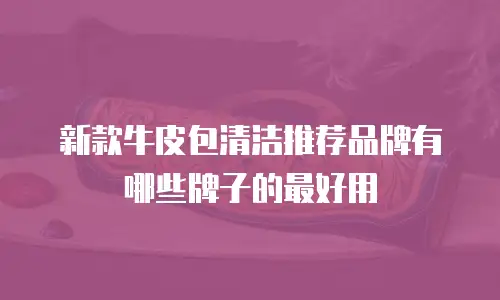 新款牛皮包清洁推荐品牌有哪些牌子的最好用