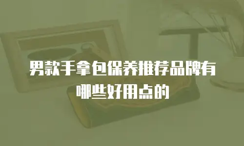 男款手拿包保养推荐品牌有哪些好用点的