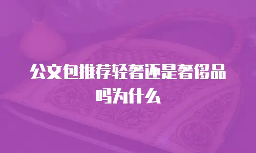公文包推荐轻奢还是奢侈品吗为什么