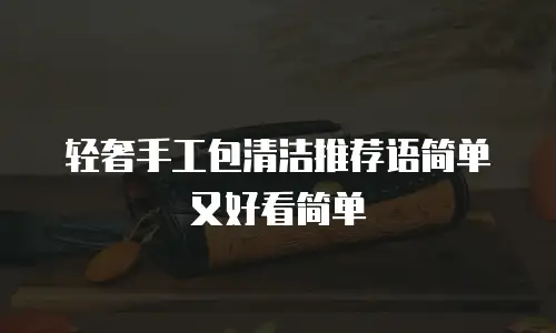 轻奢手工包清洁推荐语简单又好看简单