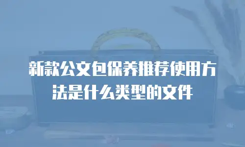 新款公文包保养推荐使用方法是什么类型的文件
