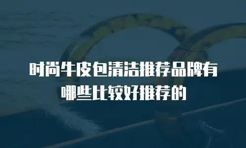 时尚牛皮包清洁推荐品牌有哪些比较好推荐的