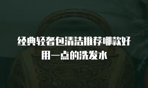 经典轻奢包清洁推荐哪款好用一点的洗发水